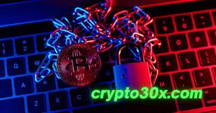 Crypto30x-Com-Catfish